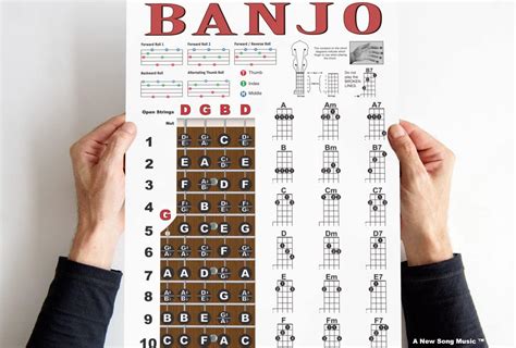 Buy Banjo Poster - Chords Rolls Fretboard Notes - Open G Tuning Easy Beginner Instructional ...