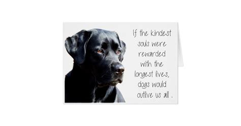 Black Lab Sympathy Card - Dog Sympathy - Pet Loss | Zazzle