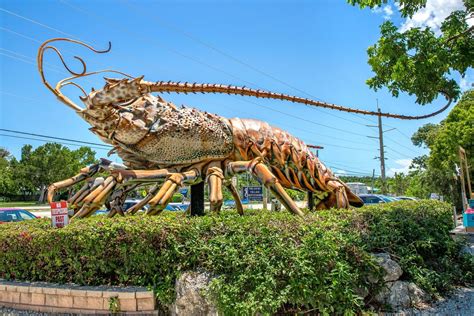 World's Largest Spiny Lobster Sculpture: world record in Islamorada, Florida
