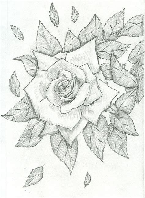 Budding Rose Scattered Leaves by plunkit on DeviantArt