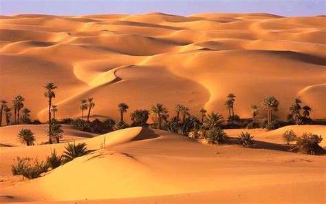 Full Day Liwa Desert Safari 2024 - Dubai