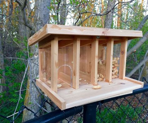 Pin on Barn and Farm | Squirrel feeder, Backyard, Squirrel proof bird ...