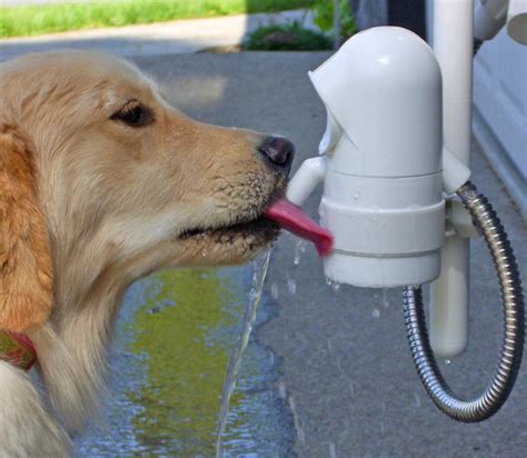 WaterDog: A Motion Sensing Outdoor Dog Water Fountain