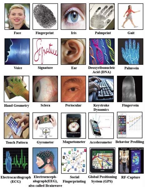 The eyes have it: Ocular biometrics