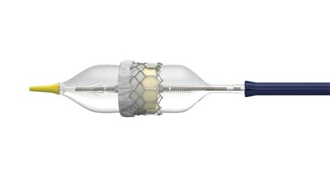 Several Transcatheter Heart Valves Get FDA Approval for Low-Risk Patients