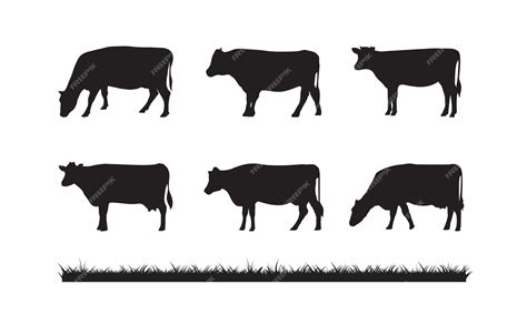 Premium Vector | Cow amp grass silhouette isolated on white background for livestock farm design ...