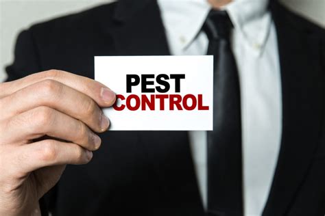 7 Signs That You Should Call a Pest Control Service