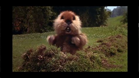 Caddyshack gopher intro - YouTube