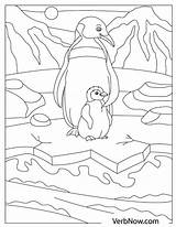 Free PENGUIN Coloring Pages For Download Printable PDF  VerbNow sketch template