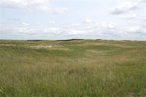 Dating Drought in the Nebraska Sandhills | KQED