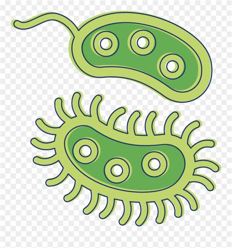 Bacteria clipart clip art, Bacteria clip art Transparent FREE for download on WebStockReview 2024