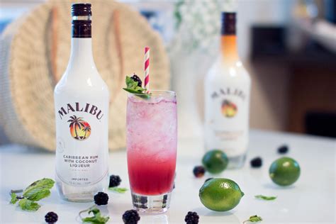 Skinny Malibu Blackberry Coconut Mojito Recipe