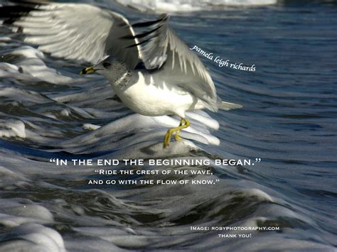 Seagull Quotes And Sayings. QuotesGram