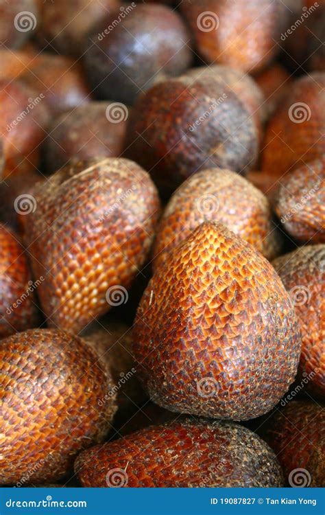 Salak fruit stock image. Image of exotic, plant, piece - 19087827