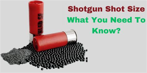 Shotgun Shot Size Chart - Guide To Choose The Right Shot