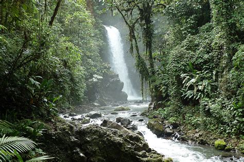 Family-Friendly Day Tours from San Jose, Costa Rica - MiniTime