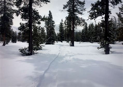 Wanoga Snow Bike Trails! | Bend Trails