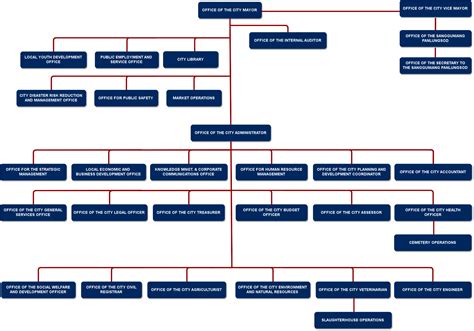 Local Government Structure Chart