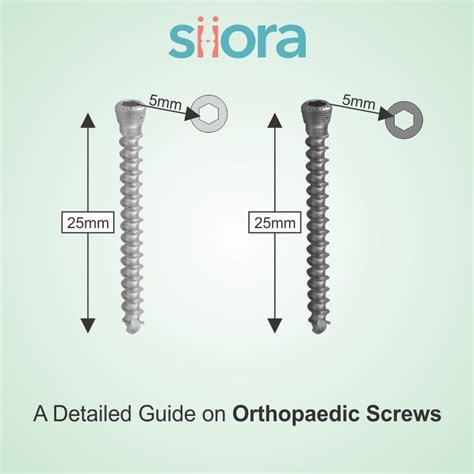 Orthopedic bone screws uses and types – Artofit