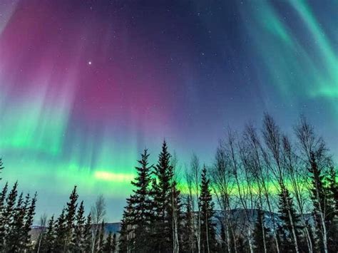 How to See the Northern Lights in Alaska | Holland America Line