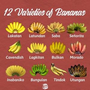 Banana Varieties: How Well Can You Identify Them?