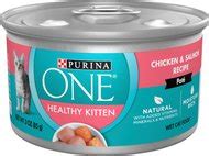 New Kitten Wet Food - Free shipping | Chewy