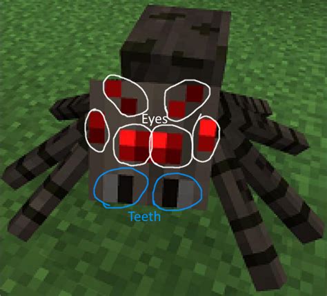 Minecraft Spider Eye