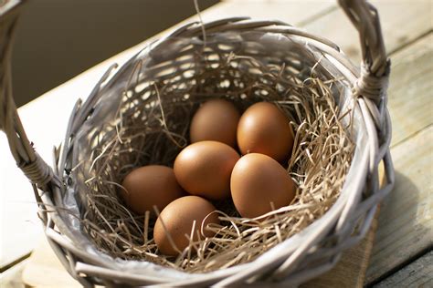 Free Range Hen's Eggs - Craggies Farm Shop