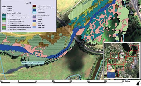 Riparian & Coastal Vegetation - RIPARIAN ENGINEERING