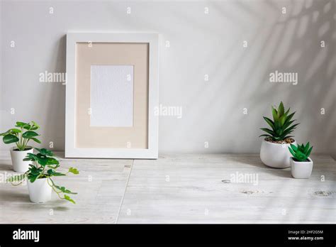 Artificial succulents in ceramic pots in the kitchen as an interior ...