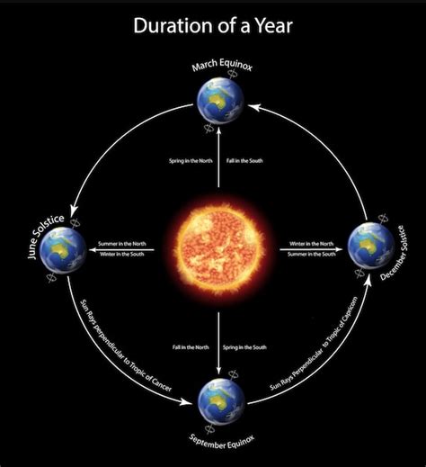 Diagram showing duration of a year with earth around the sun Vector | Free Download