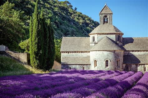 10 Best Places to See Lavender Fields in France - What are France's ...