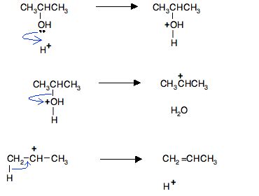 dehydration of more complicated alcohols