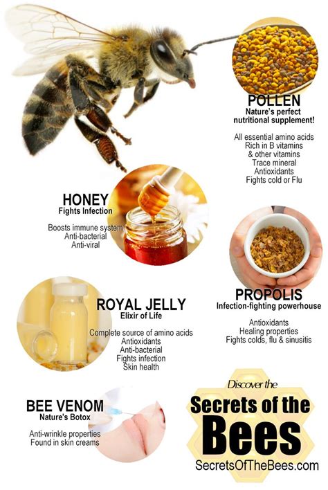 Infographic :: Health Benefit of Bee Products - Secrets of the Bees | Bee keeping, Bee bread, Bee