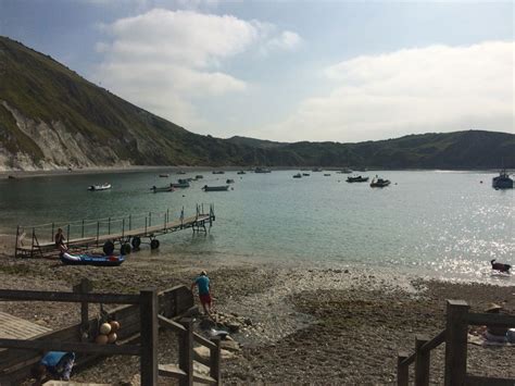 Lulworth Cove | Dorset camping, Lulworth cove, Natural landmarks