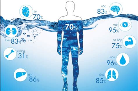 What is the composition of water in the human body?