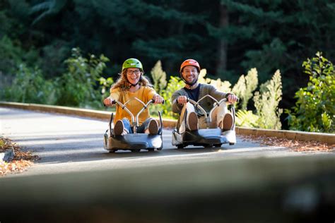 Rotorua Skyline Gondola, Restaurant, Luge, wine tasting & Stargazing