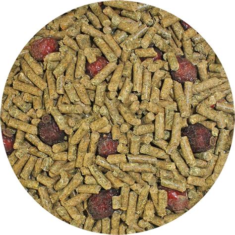 Amazon.com : Chinchilla Diet with Rose Hips 18 lb. - Nutritionally Complete Natural Healthy ...