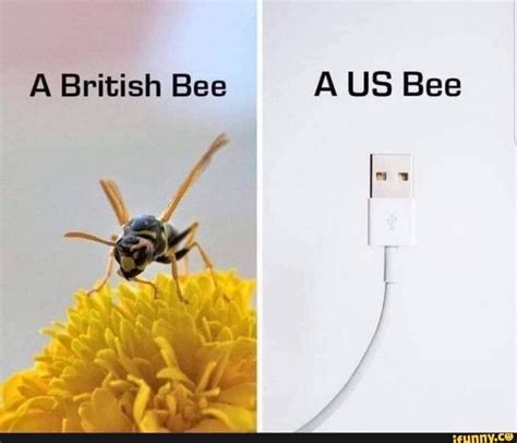 13+ Funny Bee Memes - AsmarLianna