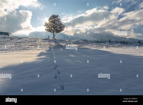 Gulmarg: Meadows and mountains in perfect harmony Stock Photo - Alamy