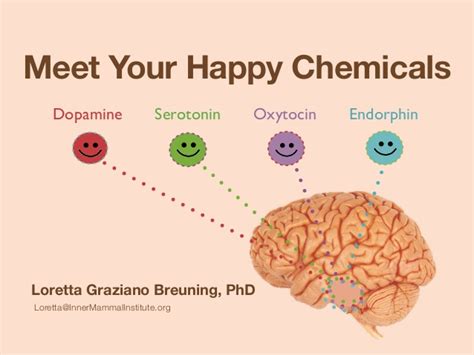 Dopamin dan Serotinin: Dua Hormon Otak Pembuat Bahagia | AtmaGo