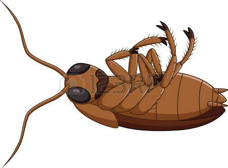 vector cartoon cockroach: Vector illustration of Cartoon dead cockroach Ant Art, Photo Editing ...