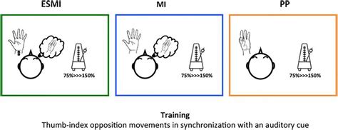 Training sessions. During the Motor Imagery and Electrical Stimulation... | Download Scientific ...