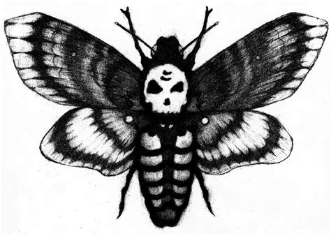 Death-Head Moth by ChristianJacobo on DeviantArt