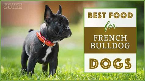 Best Dog Food for French Bulldog in 2022: Top 10 Brands Revealed!