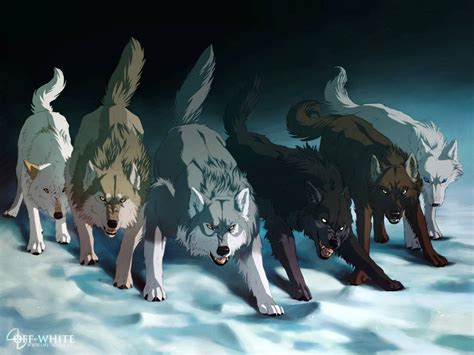 Pin de 𝖑𝖊𝖘𝖑𝖎𝖊 en Canidae & Felidae | Dibujo de lobo anime, Animales de ...