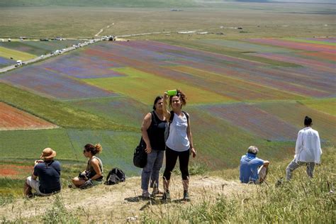 The Colorful Blooms of Castelluccio, Italy - The Atlantic