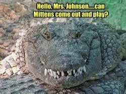 Funny Crocodile - Imgflip