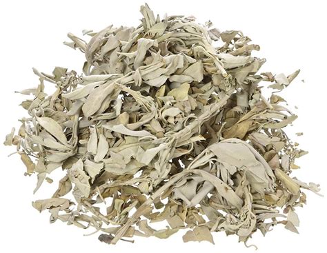 Dry sage leaves 20 grams - Meditate wisdom store