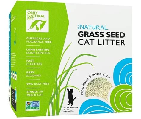 The 10 Best Natural & Biodegradable Cat Litters - We're All About Pets